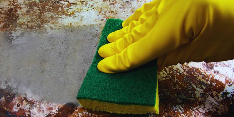 sponge cleaning 